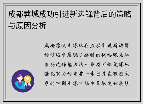 成都蓉城成功引进新边锋背后的策略与原因分析
